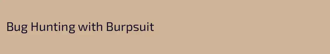 Bug Hunting with Burpsuit